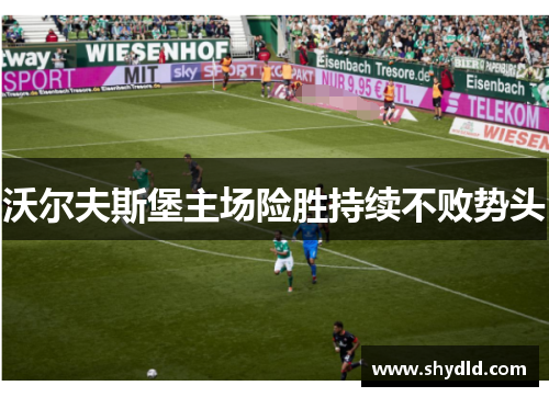 沃尔夫斯堡主场险胜持续不败势头